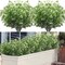 Outdoor Artificial Plants & Flowers Fake Outdoor Plants Artificial Shrubs for Outdoors Plastic Floral Arrangements Artificial with Vase
